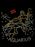 Aquarius Zodiac Iron On Transfer