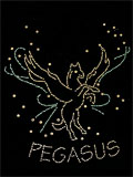 Pegasus Zodiac Iron On Transfer