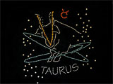 Taurus Zodiac Iron On Transfer
